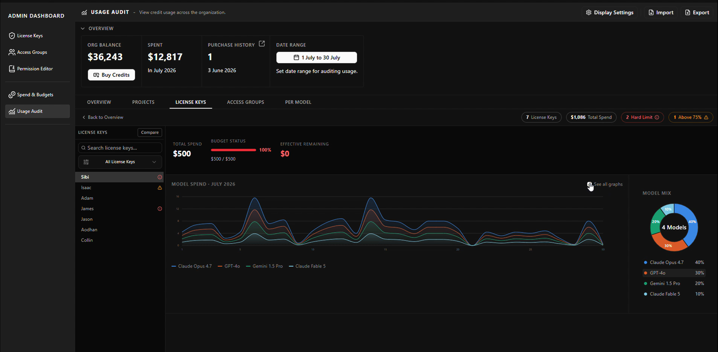 Usage audit for a single license key: spend against its budget, model spend over the month and model mix